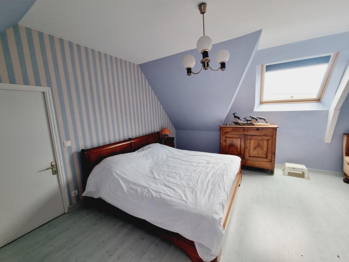 Villa Les Mouettes, Au Bord De La Mer. Saint-Malo Eksteriør bilde